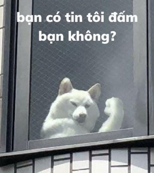 Ảnh meme chửi lộn