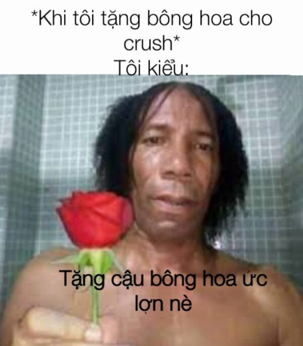 Ảnh meme tặng hoa cho crush