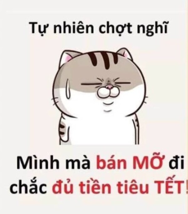 Ảnh meme tết tăng cân troll bạn bè