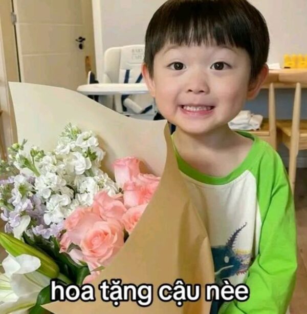 Hình ảnh meme e bé tặng hoa